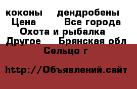 коконы    дендробены › Цена ­ 25 - Все города Охота и рыбалка » Другое   . Брянская обл.,Сельцо г.